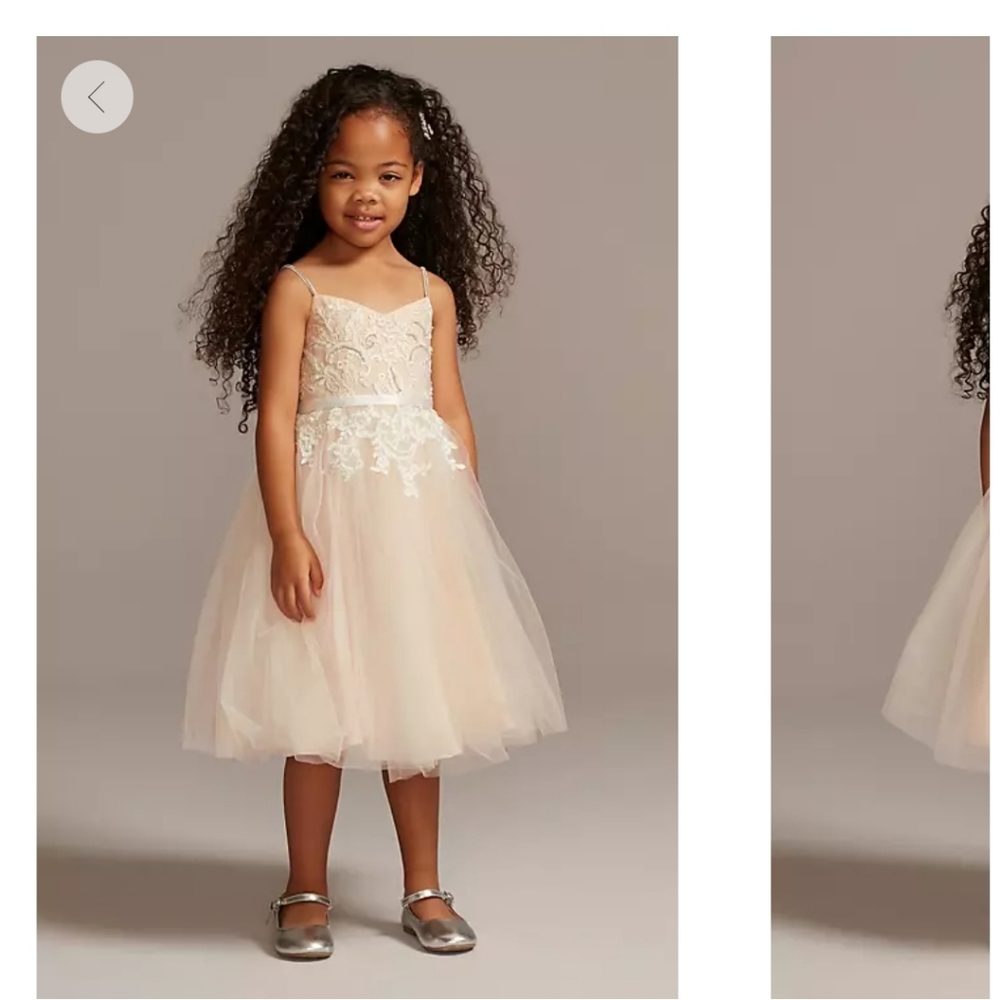 3t David's Bridal Flower girl dress. Style WG1406